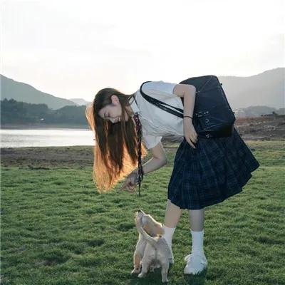 新教